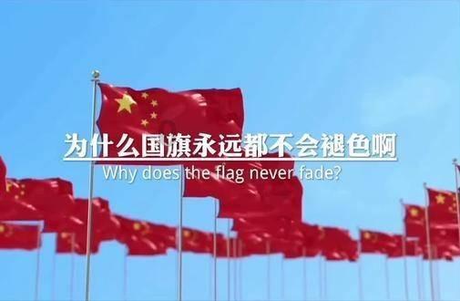 口袋森林世界杯防守战