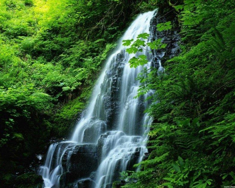 企鹅回城5之飞渡横木